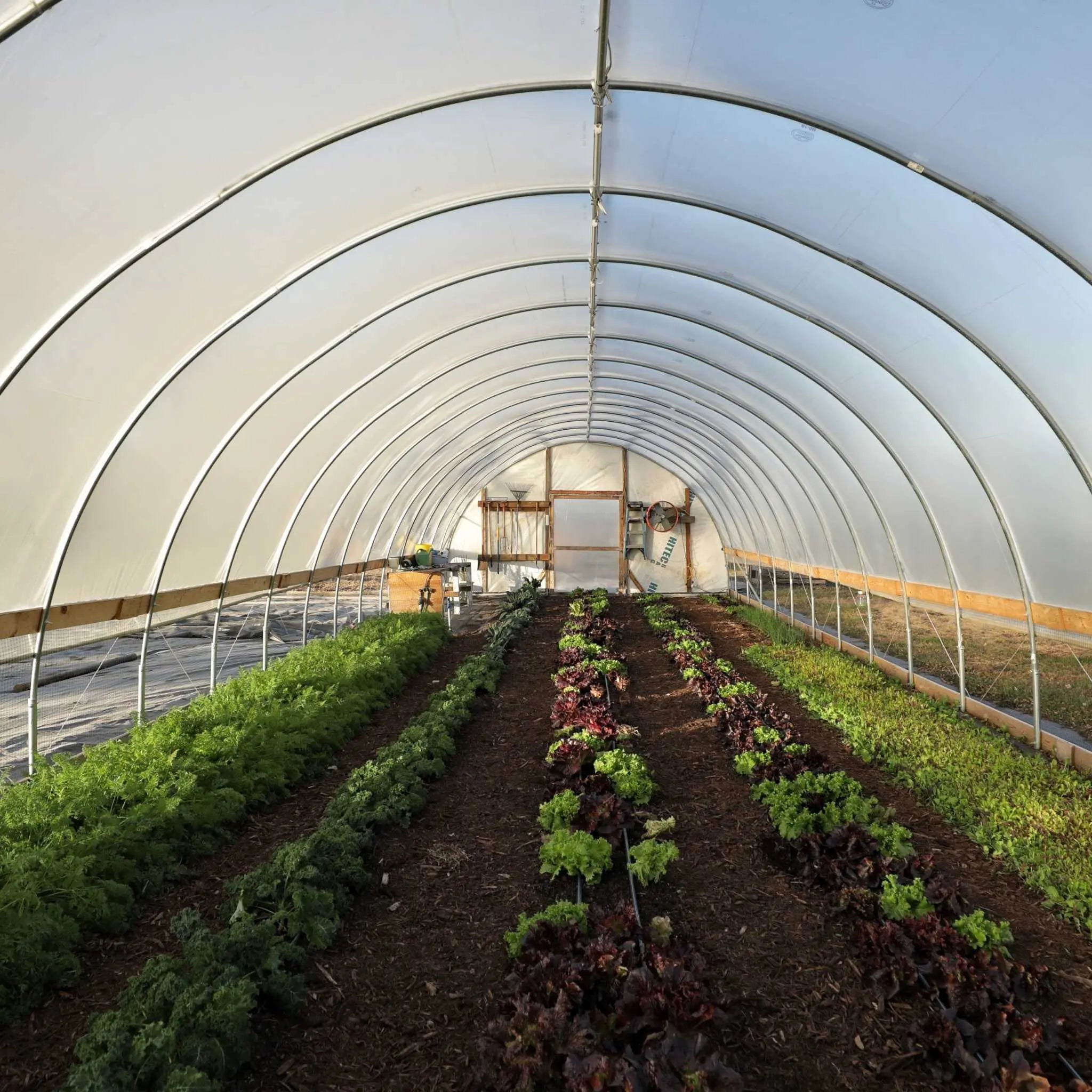BootStrap Farmer DIY Greenhouse Kit - 16 ft Wide Hoop House